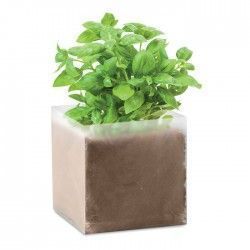 Maceta Albahaca