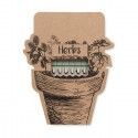 Palitos de hierbas Leyti