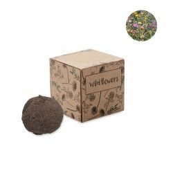 Kit de cultivo Bombi