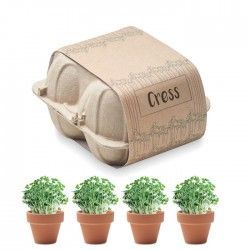 Maceta Cress