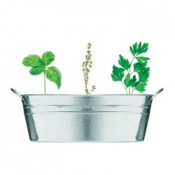 Maceta Mix Seedx