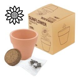 Maceta Terracota Semillas
