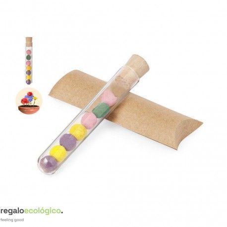 Set Bombónes Semillas Dinaclex