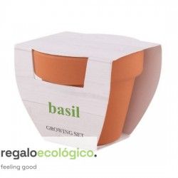 Maceta Basil