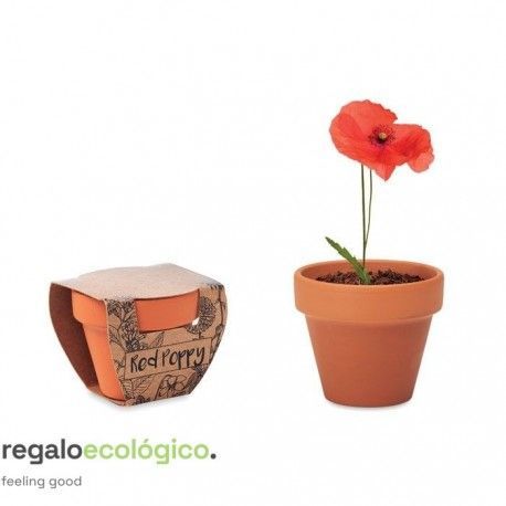 Maceta Red Poppy