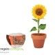 Maceta Sunflower