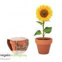 Maceta Sunflower