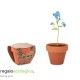 Maceta Forget Me Not