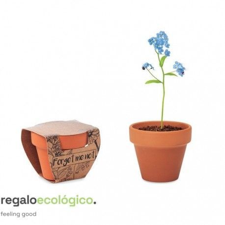 Maceta Forget Me Not
