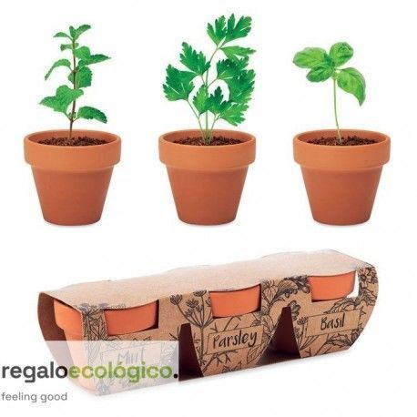 Maceta Flowerpot