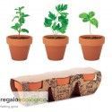 Maceta Flowerpot