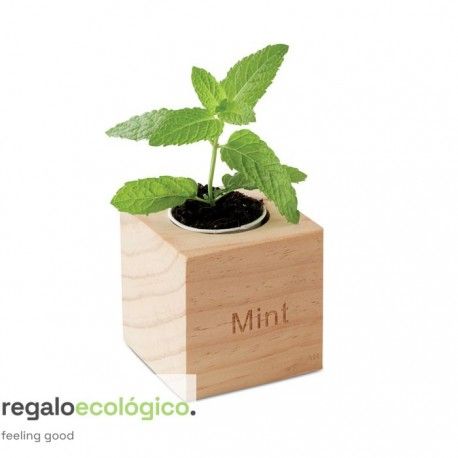 Maceta Menta